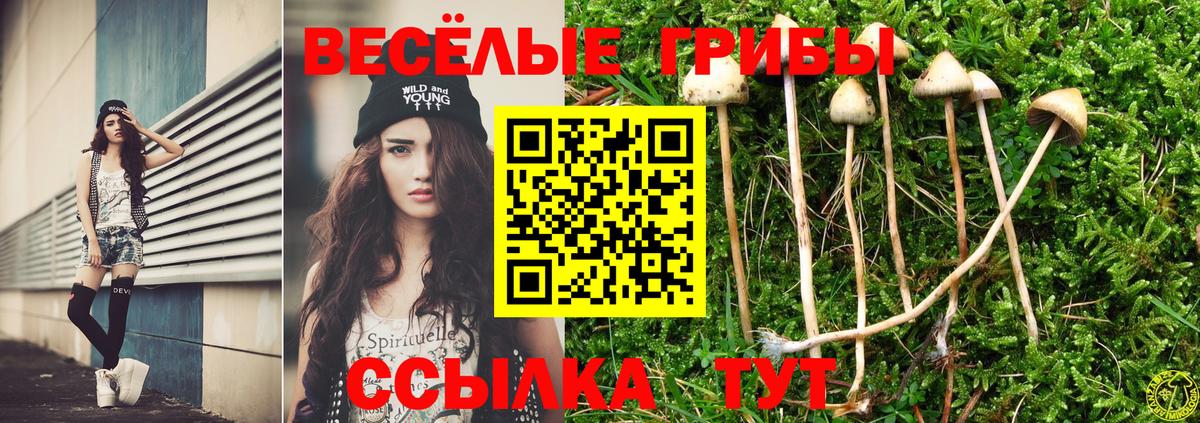 Псилоцибиновые грибы GOLDEN TEACHER  купить   Сатка  Вход с VPN 